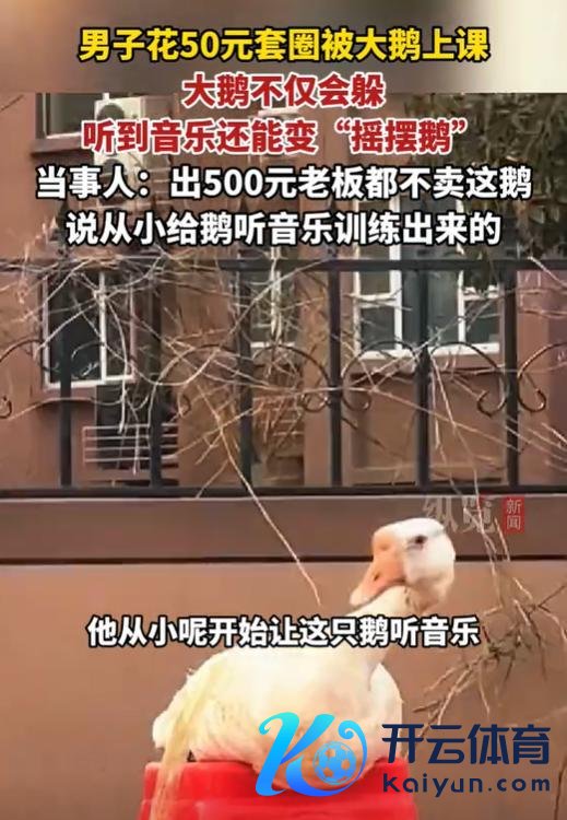 男人花50元思套大鹅被“上课” 音乐履行的大鹅不卖