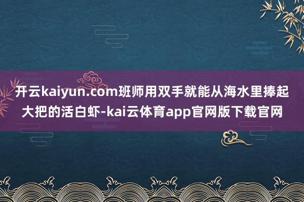 开云kaiyun.com班师用双手就能从海水里捧起大把的活白虾-kai云体育app官网版下载官网